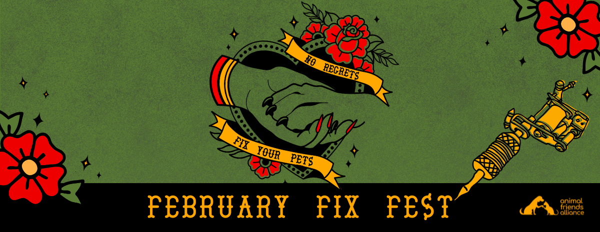 February Fix Fest 2025